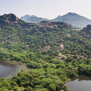 Kondaveedu Fort